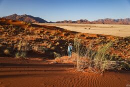Namibia_April_2025 (28/79)